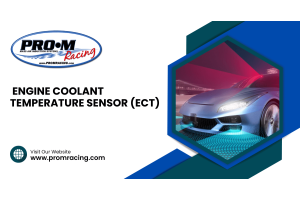 Engine Coolant Temperature Sensor (ECT)