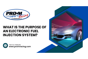 WHAT IS THE PURPOSE OF AN ELECTRONIC FUEL INJECTION SYSTEM?