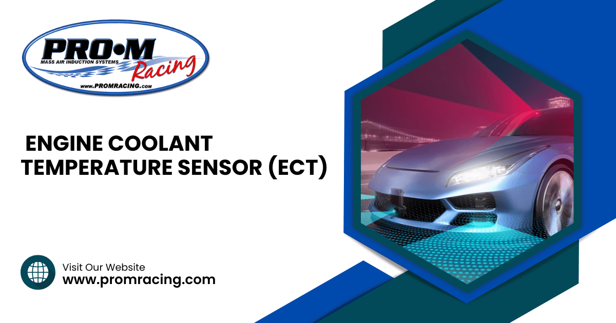 Engine Coolant Temperature Sensor (ECT)